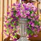 2-Piece Artificial Hanging Flowers – Faux Silk Daisy with Eucalyptus Vines, UV-Resistant Realistic Trailing Plants for Balcony, Patio, Porch, and Spring Outdoor Decor (Dark Purple + Purple)